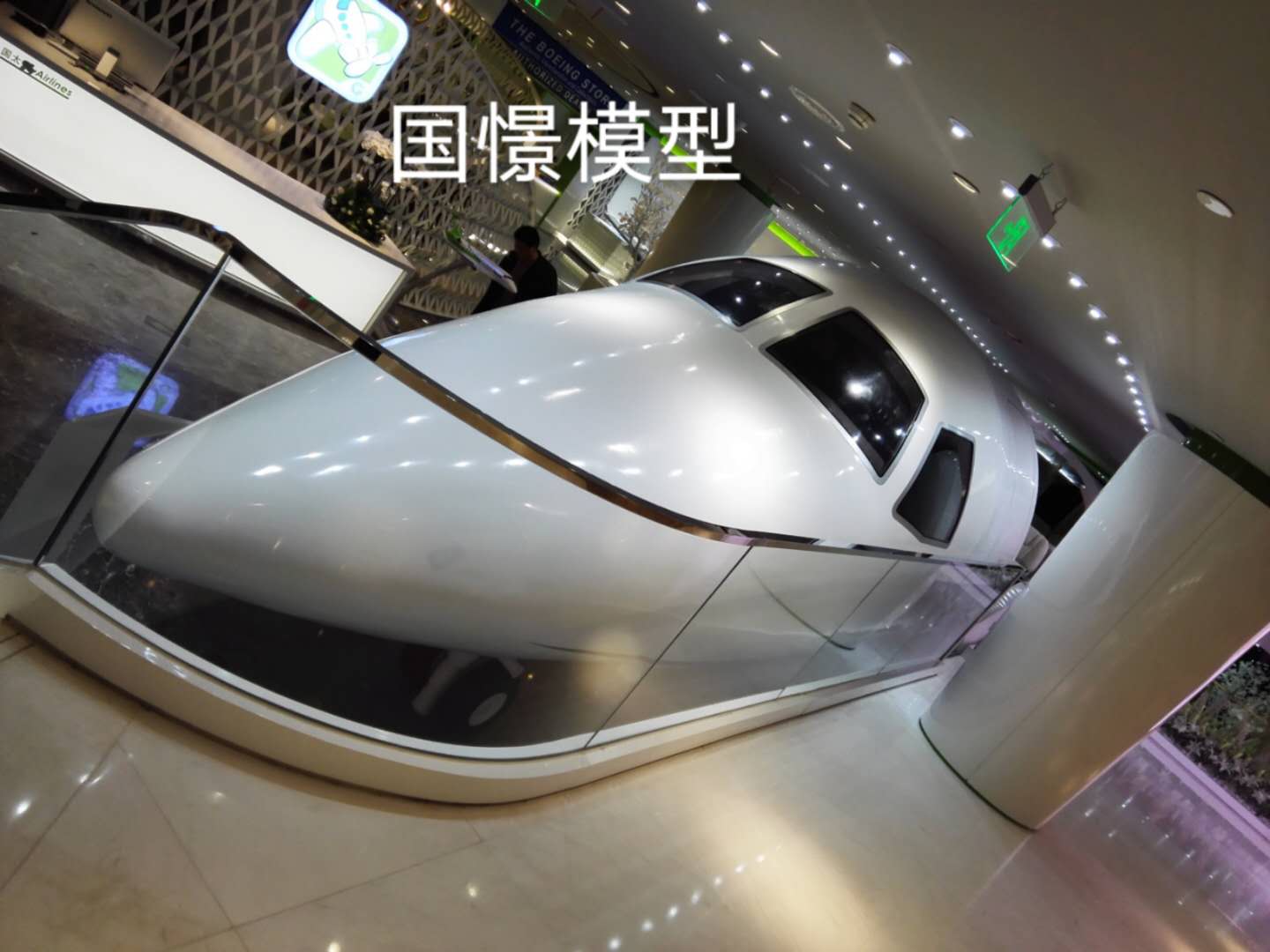 叙永县大型仿真模型道具