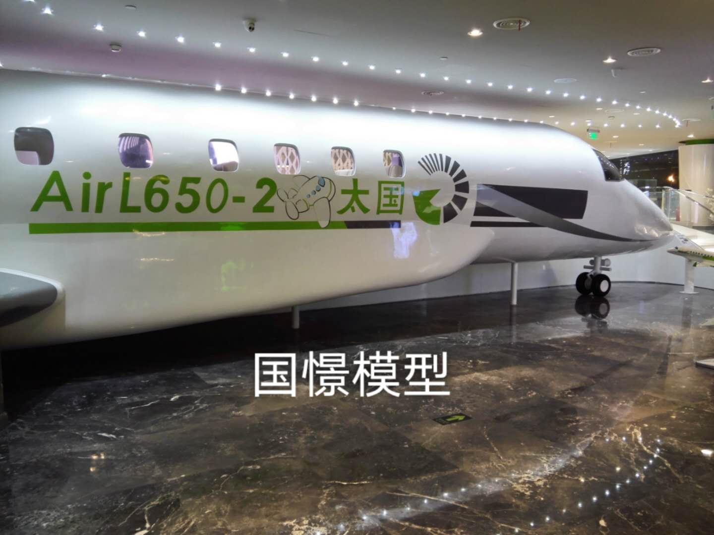 叙永县大型仿真模型道具