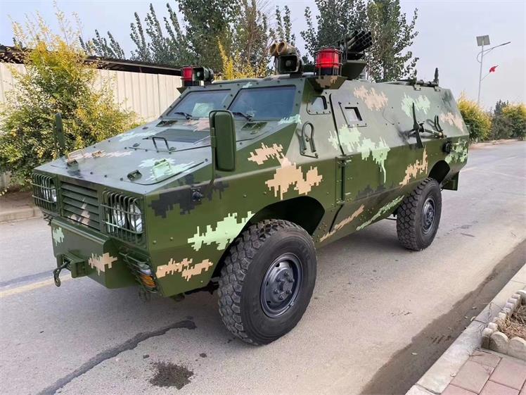 叙永县军事模型